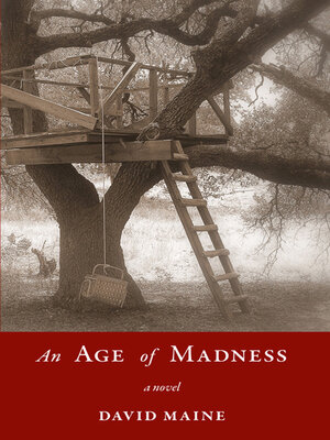 cover image of An Age of Madness